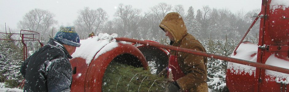 Prestonvale Tree Farms